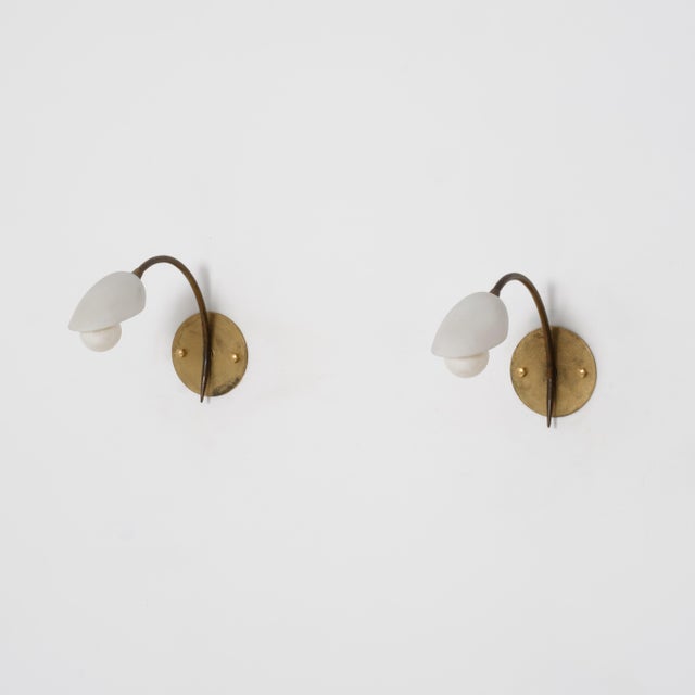 Italian Curved Brass and Opaline Glass Sconces, 1950s, Set of 2 For Sale - Image 13 of 13