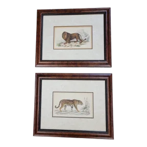 Pair of Antique Color Lithographs of Wild Cats
