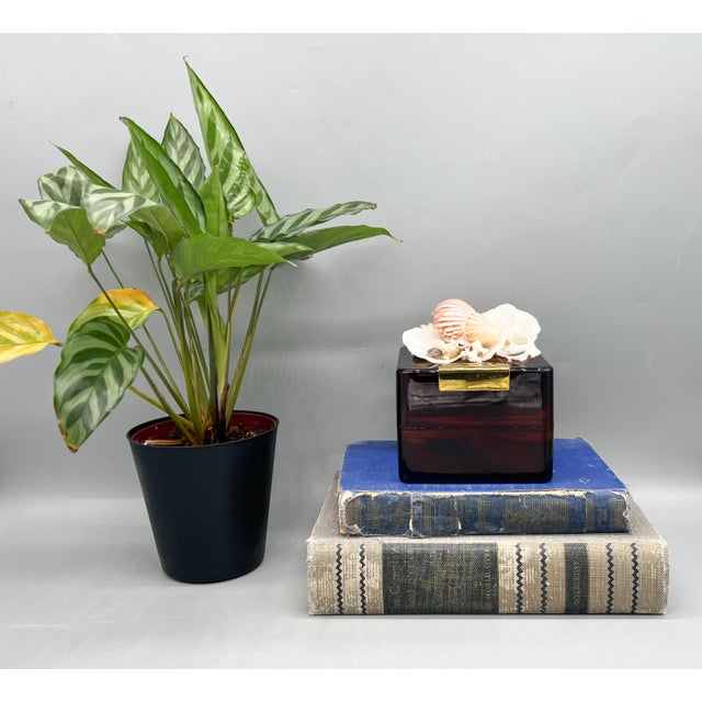 Exquisite, vintage decorative box by Jenny Wakefield, featuring an elaborate assemblage of natural seashells and coral...