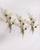 Vintage Italian Floral Style Wall Lamps, 1950s, Set of 3 For Sale - Image 10 of 15