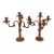 Pair of Antique French Louis XV Bronze Candelabras For Sale