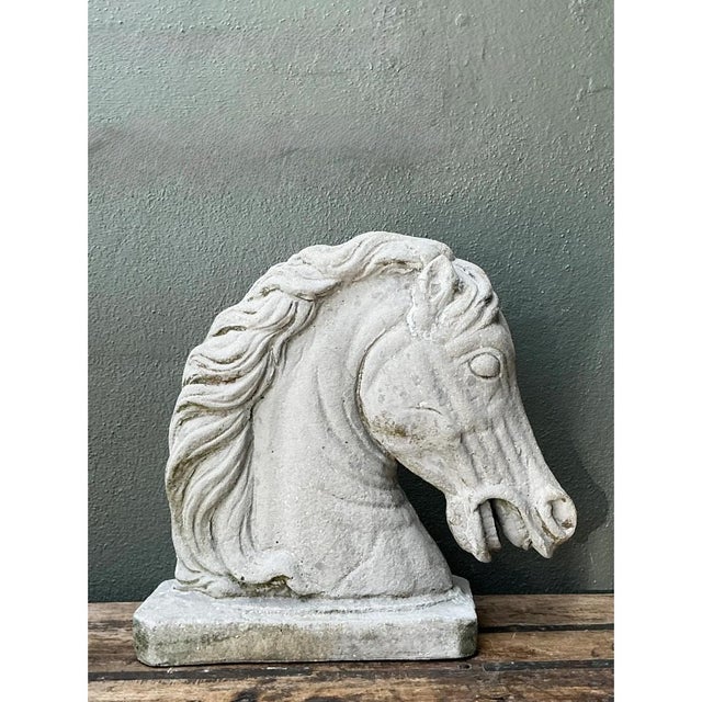 Off-white Vintage Cement Equestrian Bust For Sale - Image 8 of 12