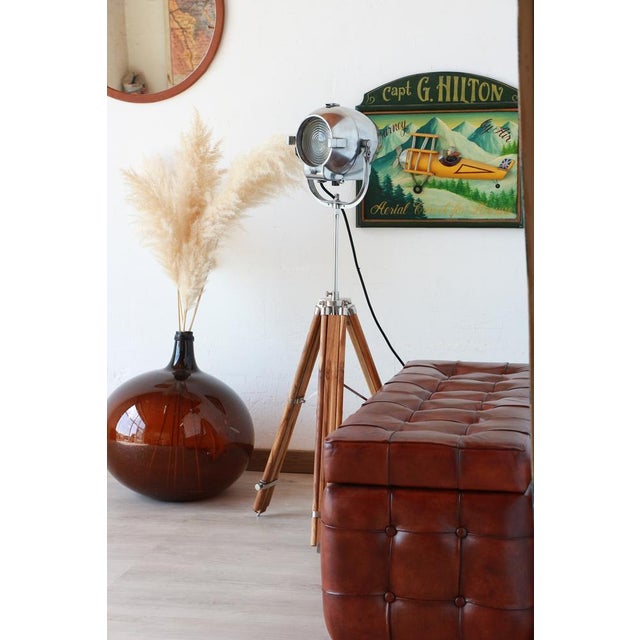 Silver Egg Shape Theater Spotlight by Morgan McLleod, 1950s For Sale - Image 8 of 18