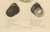 J.B. Baillière et Fils, Turbo Sea Shells Natural History, 1832, Engraving For Sale - Image 3 of 9