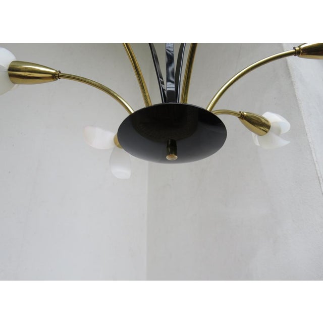 Floral Ceiling Lamp with Acrylic Glass Flowers, 1950s For Sale - Image 15 of 18