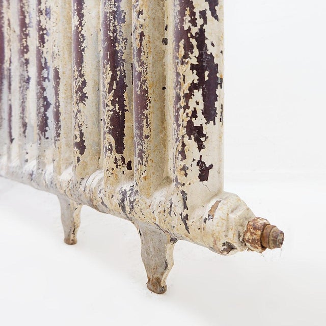 Victorian Cast Iron Radiator with Leafy Branches and Flowers, 1890s For Sale - Image 15 of 16