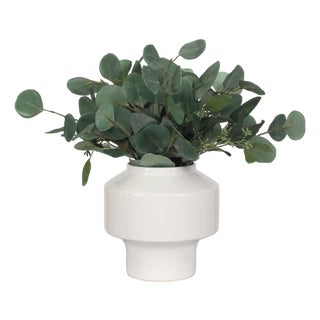 Essence Eucalyptus Accent & Vase For Sale