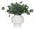 Essence Eucalyptus Accent & Vase For Sale