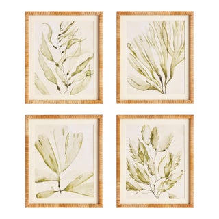 Coastal Greenery Prints, Set Of 4 For Sale