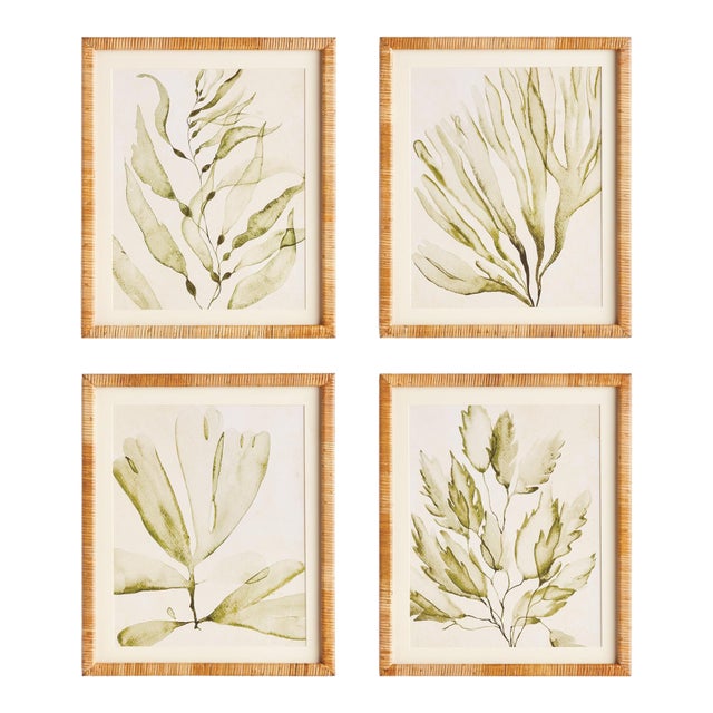 Coastal Greenery Prints, Set Of 4 For Sale