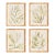 Coastal Greenery Prints, Set Of 4 For Sale