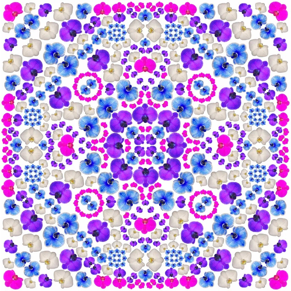 Orchid Mandala Original Print | Chairish