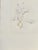 Modern Hans Bellmer, Mirror of Dreams 2a, 1972, Etching For Sale - Image 3 of 4
