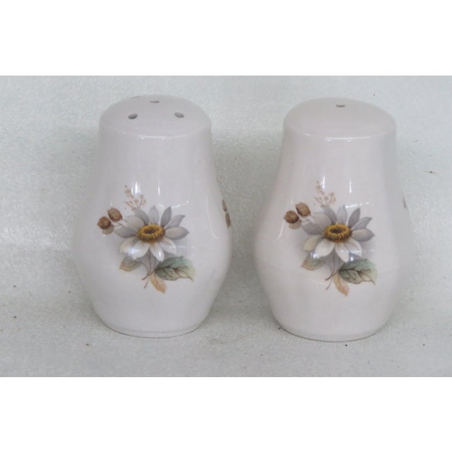 Staffordshire Ceramic Daisey Flowers Set of Salt and Pepper Shakers For Sale - Image 11 of 12