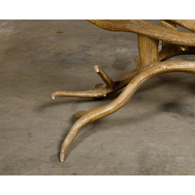 Mid 20th Century Antler and Glass Midcentury American Coffee Table with Gilded Surround For Sale - Image 12 of 12