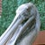 A monumental bronze fountain sculpture, signed "S David", depicting a pelican perched atop a nautical dock piling wrapped...