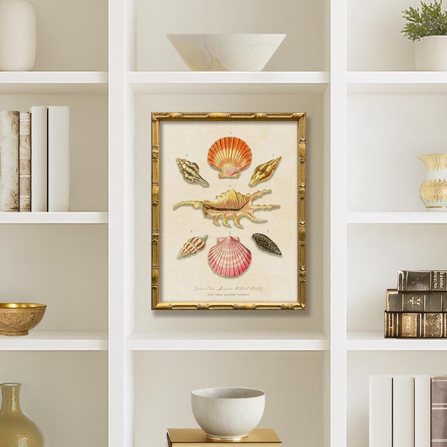 This is print (2) from our "Vintage Seashell" series. Please note there are 4 images in this series, see our listings for...