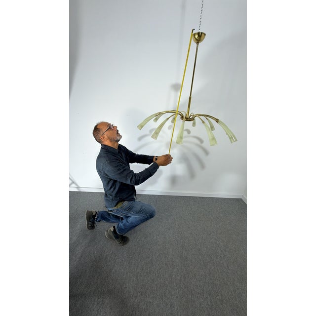 12-Light Spider Hanging Lamp in Brass and Murano Glass in the style of Ercole Barovier, 1950 For Sale - Image 14 of 15
