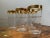 Vintage Mid 20th Century Glass Tumblers With Gold Rim - Set of 6 For Sale - Image 4 of 9