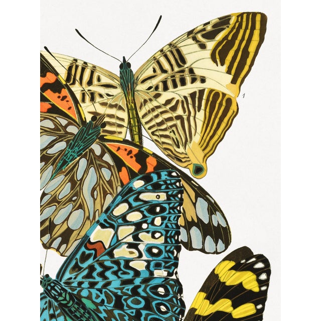 Art Deco Vintage Butterfly Illustration, Art Deco Insect Print Reproduction, 1925, 18" × 24" For Sale - Image 3 of 6
