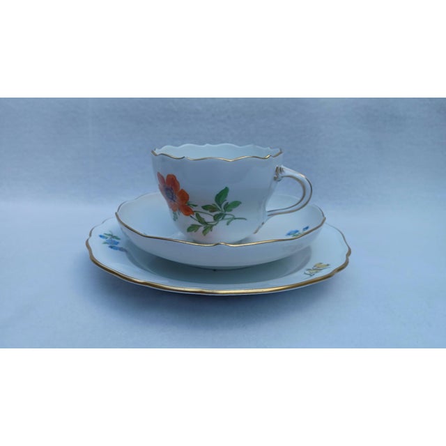 Vintage Porcelain Coffee Tea Trio in Red Anemone from Meissen, 1970s, Set of 3 For Sale - Image 15 of 16