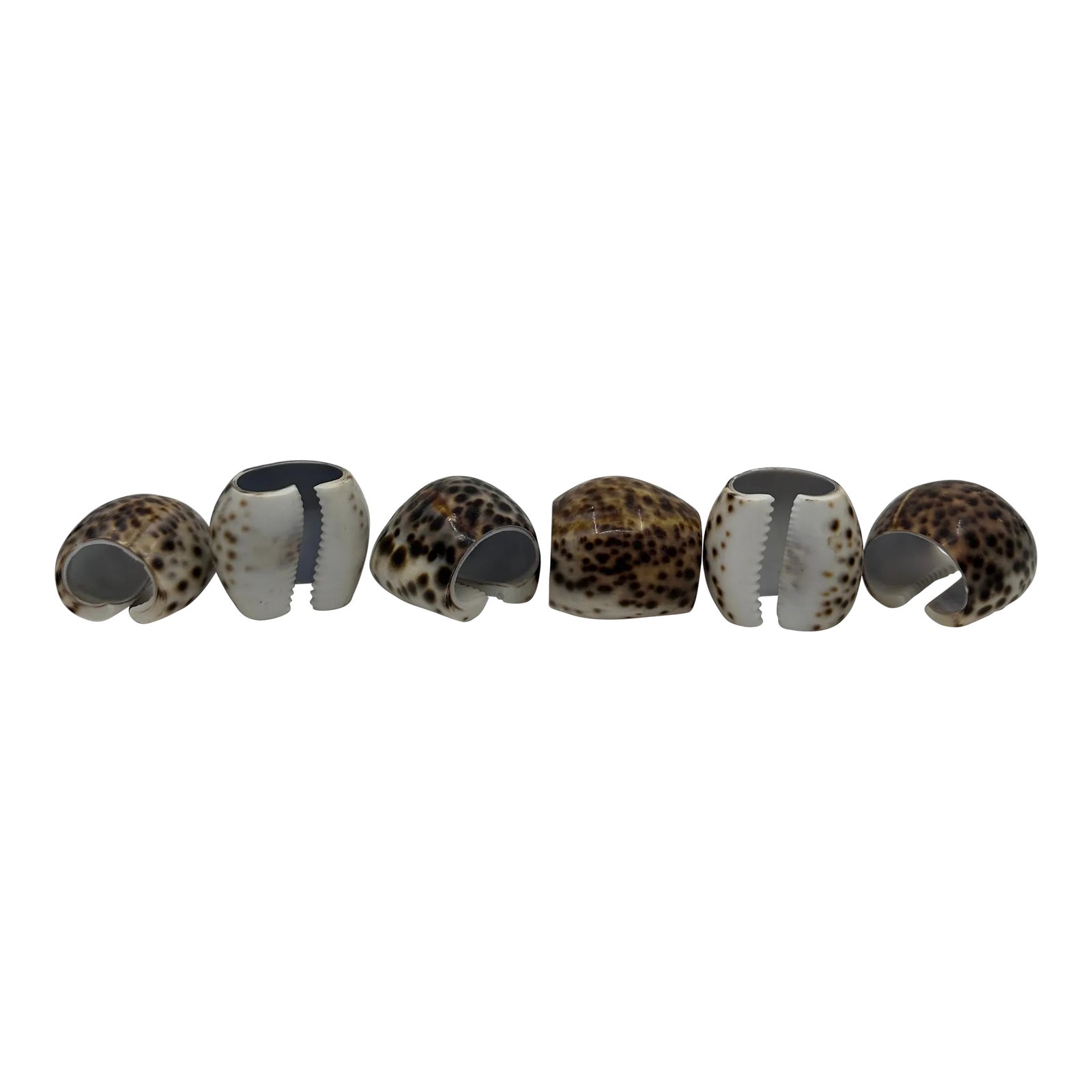 Late 20th Century Cowrie Shell Napkin Rings- Set of 6 | Chairish