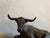 1980s Signed Bronze “Range Baron” Longhorn Sculpture on Wood Base For Sale - Image 5 of 12