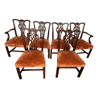 Mahogany Chippendale Style Dining Chairs -Set of 6 For Sale