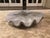 Plastic Large Grey Resin Clam Shell For Sale - Image 7 of 7