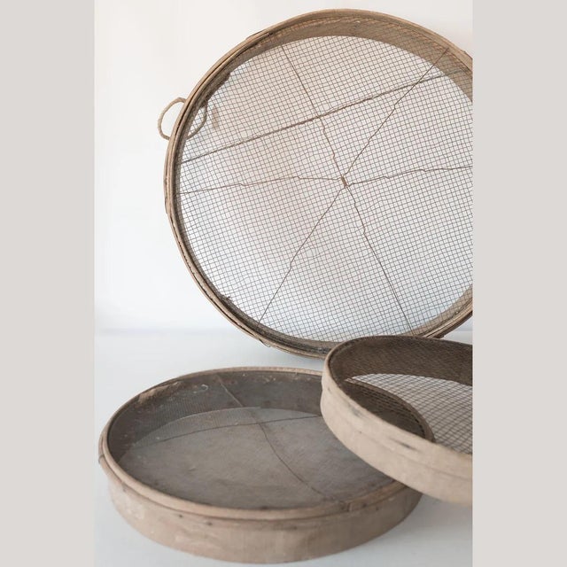 Rustic Wooden Grain Sieves, 1920s, Set of 3 For Sale - Image 3 of 5