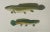 American Dogfish Male & Female, Circa 1903 For Sale - Image 3 of 3