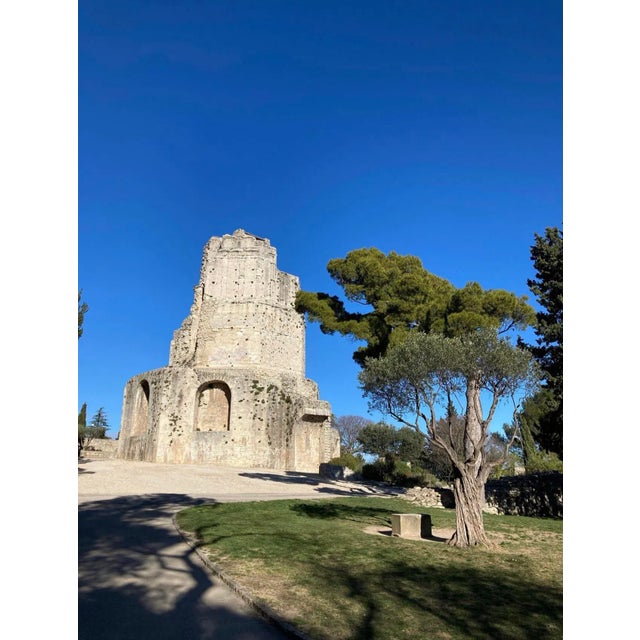 Vintage French Provincial Roman History Original Drawing of La Tour Magne in Nimes Southern France Signed by Artist Bonnefoi, Framed. For Sale - Image 11 of 12