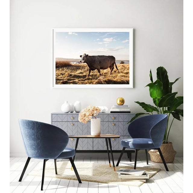 'Brown Cow' Contemporary English Landscape Fine Art Photography Print, Pastoral Art, Large 45 X 30" Bovine Artwork For Sale - Image 4 of 8