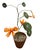 2000 - 2009 Charming Vintage Italian Hand-Crafted Metal and Crepe Paper Nasturtium Topiary in Terracotta Pot For Sale - Image 5 of 12