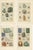 Antique Gemstone Prints Set of 4, Blue & Green Minerals, Bauer c.1900 : A refined and visually balanced set of four...