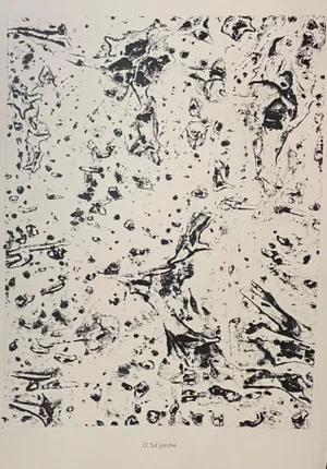 Jean Dubuffet - Littered Sol - Original Lithograph - 1959