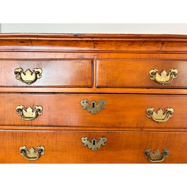 Original Antique 18th Century Massachusetts Maple Queen Anne Highboy For Sale - Image 11 of 12