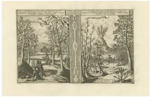 R. De Hooghe, The Spice Lands of the East Indies, 1708, Print