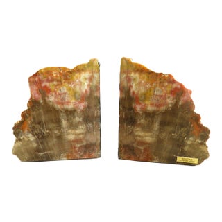 1970s Amazing Polished Arizona Rainbow Petrified Wood Bookends For Sale