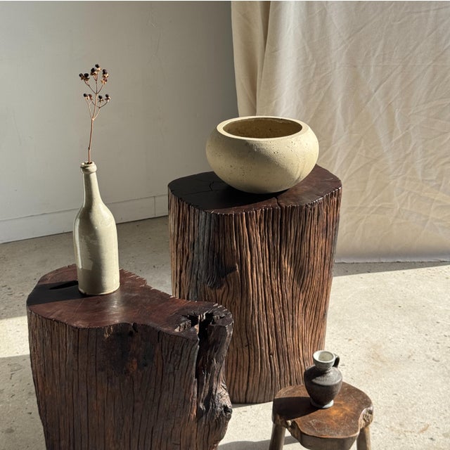 Very large, flattened oval flower pot made of raw gray cement. The thick, irregular material gives this handcrafted piece...