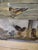 American 1950s Charming Vintage Watercolor of Birds at a Feeder For Sale - Image 3 of 6