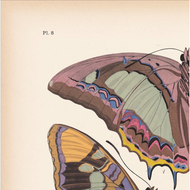 We are thrilled to present the exquisite Séguy Butterfly #08, available exclusively on Chairish, in the standard...