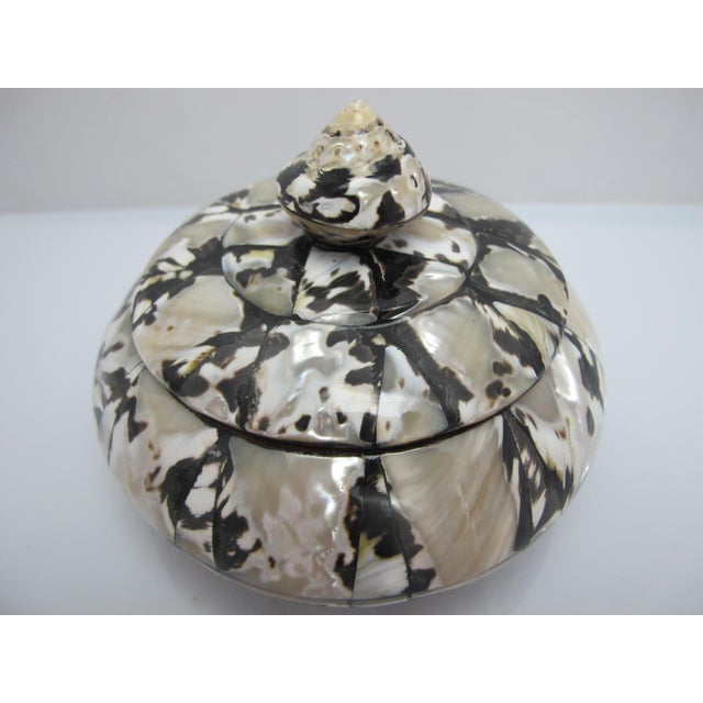Wood Wood Inlaid Mother of Pearl Black & White Shell Round Lidded Trinket Box For Sale - Image 7 of 10