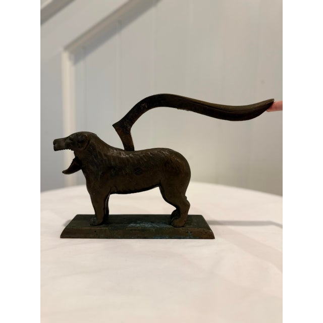 Antique American Cast Iron Figural Dog Nutcracker, Early 1900s For Sale In Nashville - Image 6 of 10