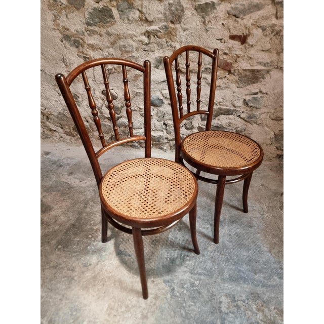 Antique Vienna Bentwood Chairs by Jacob & Josef Kohn, Austria, 1930s, Set of 2 For Sale - Image 13 of 18