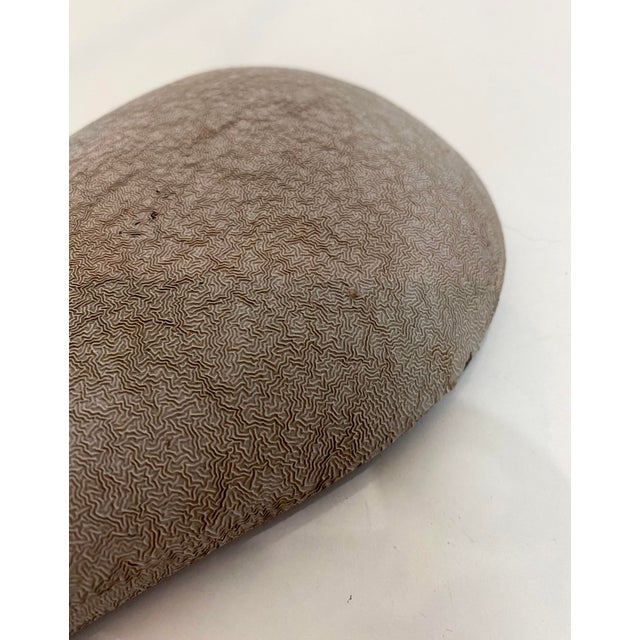 Mid-Century Shrink Varnish Adjustable Table Lamp, 1950s For Sale - Image 9 of 15