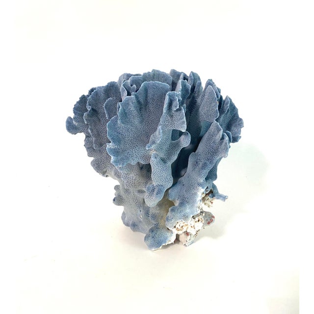 Chinoiserie Natural Blue Coral Specimen For Sale - Image 3 of 7