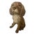 Life-Size Figure of a Spaniel For Sale