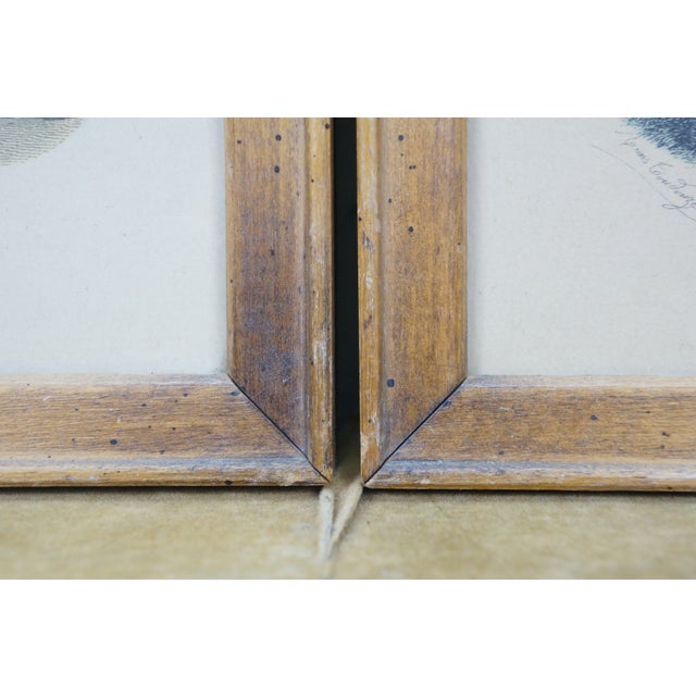 2 Antique La Mode Illustree Fashion Etching Prints Leroy Paris France 11" For Sale - Image 11 of 12