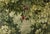 French Provincial Scalamandre Velvet Marley Botanical Tapestry Feather/Down Pillow For Sale - Image 3 of 6
